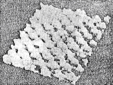 原子力显微镜的石墨表面三维图像
