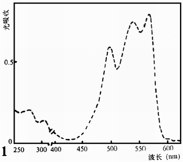 多管藻R-PE的吸收光谱
