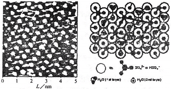 Rh(111)表面硫酸根离子与水分子共吸附的STM图像和结构模型